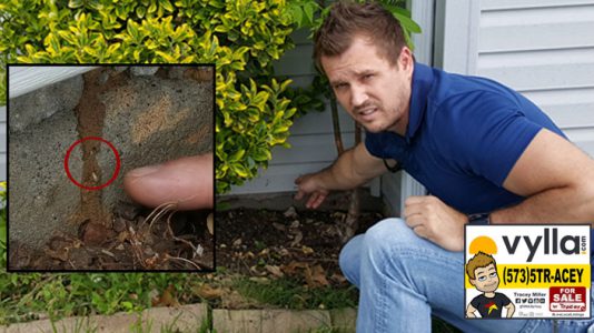 Photo of Tracey Miller Realtor Spotting Termites