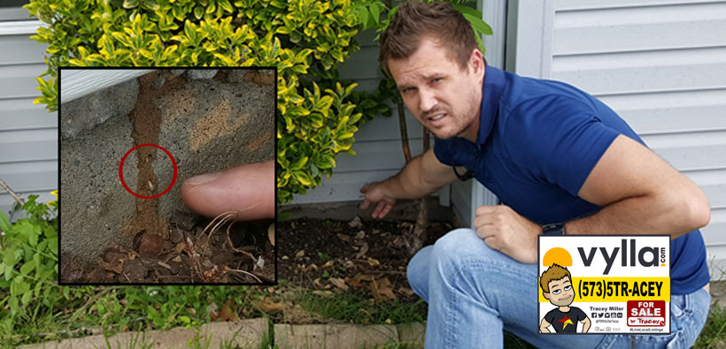 Photo of Tracey Miller Realtor Spotting Termites