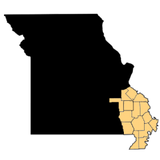 Southeast Missouri Real Estate FOR SALE by Tracey Miller Realtor 573RealEstate Near Me