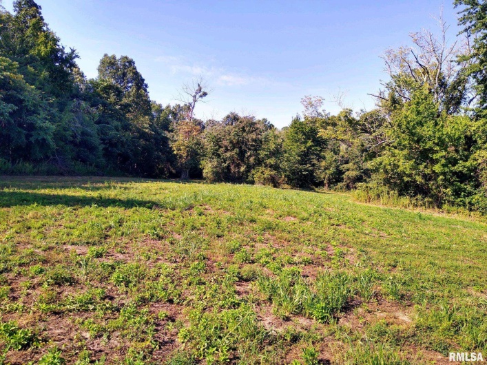 39 Bushwack Road, Golconda, Illinois 62938, 0 , 0 ,0,Land,For Sale,Bushwack,0,RMAEB445933