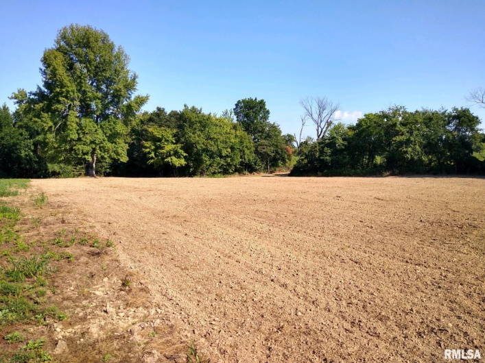 39 Bushwack Road, Golconda, Illinois 62938, 0 , 0 ,0,Land,For Sale,Bushwack,0,RMAEB445933