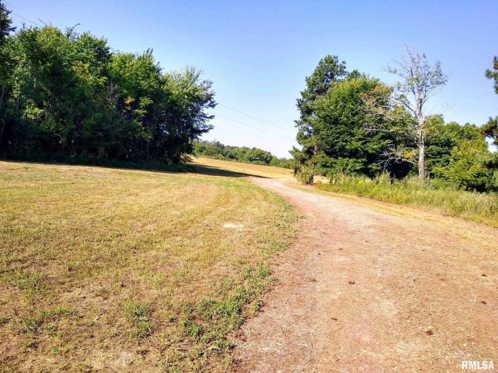 39 Bushwack Road, Golconda, Illinois 62938, 0 , 0 ,0,Land,For Sale,Bushwack,0,RMAEB445933