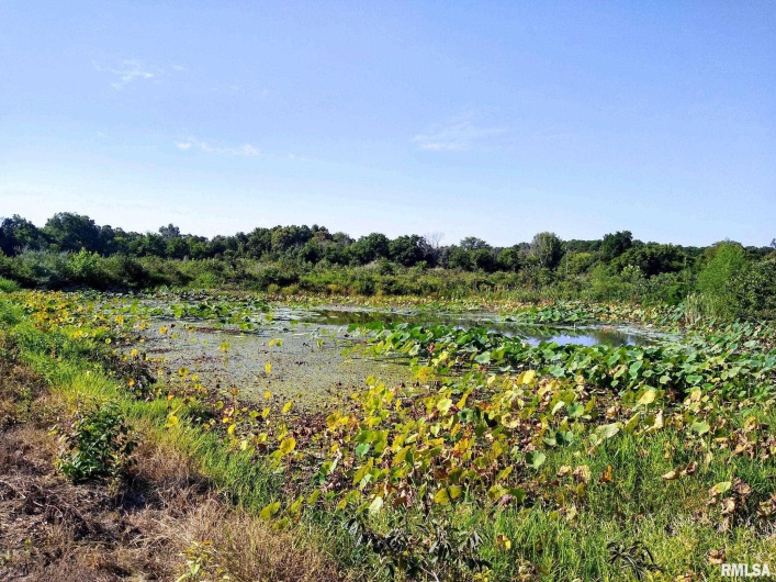 39 Bushwack Road, Golconda, Illinois 62938, 0 , 0 ,0,Land,For Sale,Bushwack,0,RMAEB445933