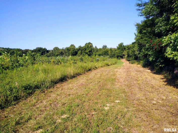 39 Bushwack Road, Golconda, Illinois 62938, 0 , 0 ,0,Land,For Sale,Bushwack,0,RMAEB445933