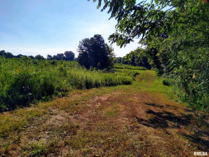 39 Bushwack Road, Golconda, Illinois 62938, 0 , 0 ,0,Land,For Sale,Bushwack,0,RMAEB445933