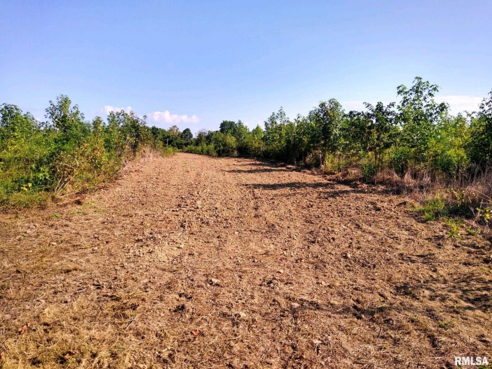 39 Bushwack Road, Golconda, Illinois 62938, 0 , 0 ,0,Land,For Sale,Bushwack,0,RMAEB445933