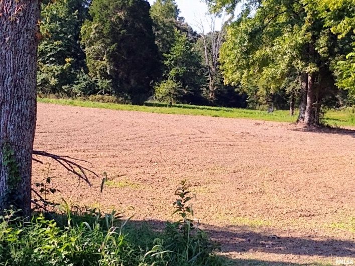 39 Bushwack Road, Golconda, Illinois 62938, 0 , 0 ,0,Land,For Sale,Bushwack,0,RMAEB445933