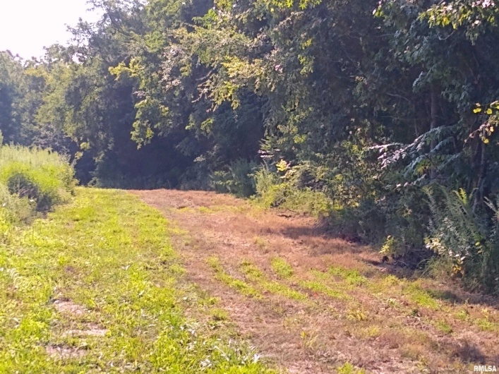39 Bushwack Road, Golconda, Illinois 62938, 0 , 0 ,0,Land,For Sale,Bushwack,0,RMAEB445933