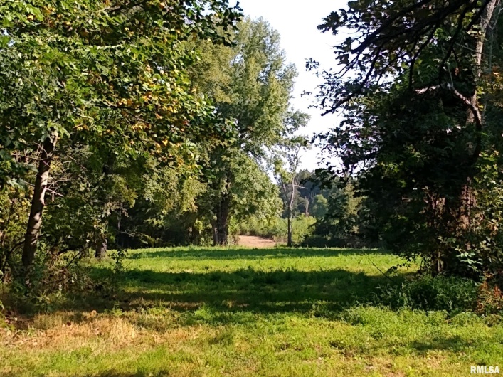 39 Bushwack Road, Golconda, Illinois 62938, 0 , 0 ,0,Land,For Sale,Bushwack,0,RMAEB445933