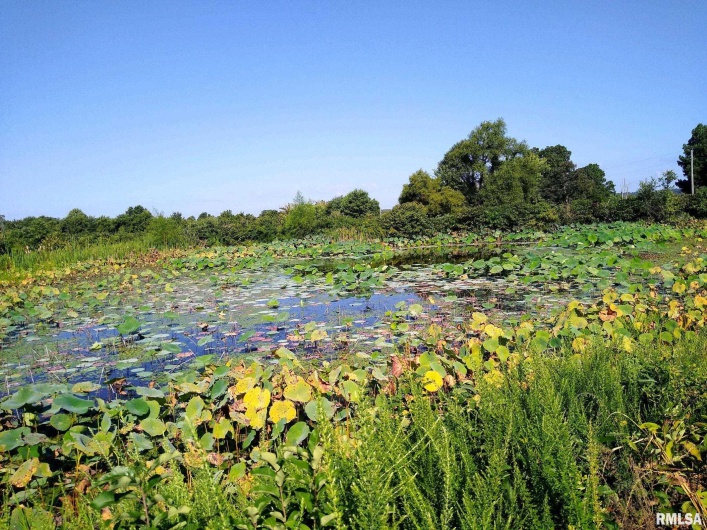 39 Bushwack Road, Golconda, Illinois 62938, 0 , 0 ,0,Land,For Sale,Bushwack,0,RMAEB445933