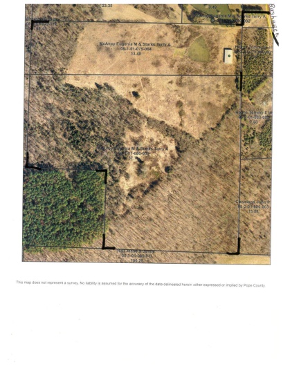 39 Bushwack Road, Golconda, Illinois 62938, 0 , 0 ,0,Land,For Sale,Bushwack,0,RMAEB445933