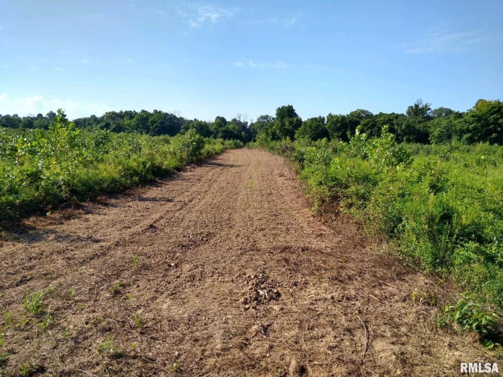 39 Bushwack Road, Golconda, Illinois 62938, 0 , 0 ,0,Land,For Sale,Bushwack,0,RMAEB445933