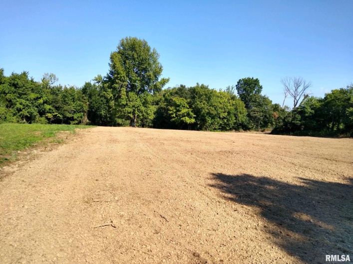 39 Bushwack Road, Golconda, Illinois 62938, 0 , 0 ,0,Land,For Sale,Bushwack,0,RMAEB445933