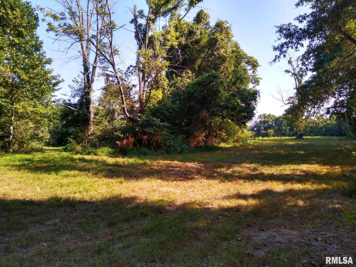 39 Bushwack Road, Golconda, Illinois 62938, 0 , 0 ,0,Land,For Sale,Bushwack,0,RMAEB445933