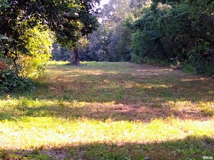 39 Bushwack Road, Golconda, Illinois 62938, 0 , 0 ,0,Land,For Sale,Bushwack,0,RMAEB445933