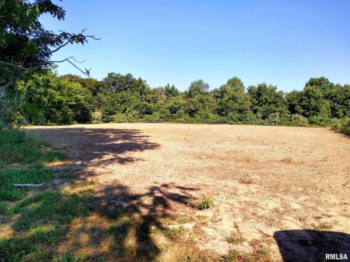 39 Bushwack Road, Golconda, Illinois 62938, 0 , 0 ,0,Land,For Sale,Bushwack,0,RMAEB445933
