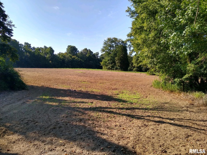 39 Bushwack Road, Golconda, Illinois 62938, 0 , 0 ,0,Land,For Sale,Bushwack,0,RMAEB445933