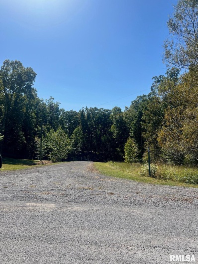 Lot 48 & 49 Chariot Court, Goreville, Illinois 62939, 0 , 0 ,0,Land,For Sale,Chariot,0,RMAEB446252