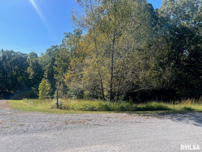 Lot 48 & 49 Chariot Court, Goreville, Illinois 62939, 0 , 0 ,0,Land,For Sale,Chariot,0,RMAEB446252