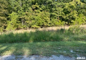 Lot 48 & 49 Chariot Court, Goreville, Illinois 62939, 0 , 0 ,0,Land,For Sale,Chariot,0,RMAEB446252