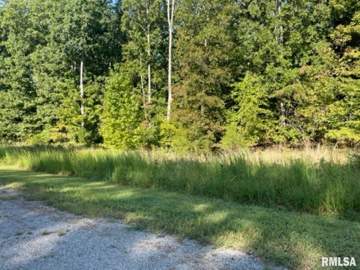 Lot 48 & 49 Chariot Court, Goreville, Illinois 62939, 0 , 0 ,0,Land,For Sale,Chariot,0,RMAEB446252