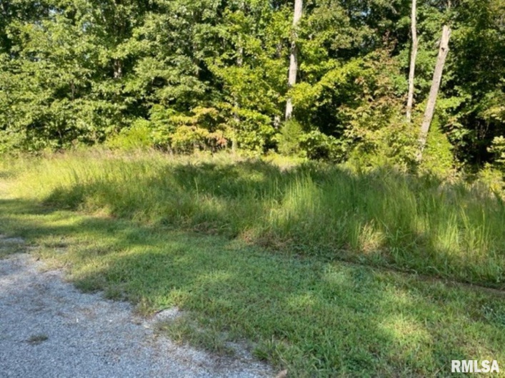 Lot 48 & 49 Chariot Court, Goreville, Illinois 62939, 0 , 0 ,0,Land,For Sale,Chariot,0,RMAEB446252
