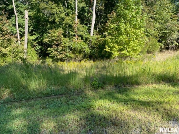 Lot 48 & 49 Chariot Court, Goreville, Illinois 62939, 0 , 0 ,0,Land,For Sale,Chariot,0,RMAEB446252