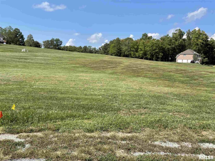 000 Majestic Drive, Murphysboro, Illinois 62966, 0 , 0 ,0,Land,For Sale,Majestic,0,RMAEB441296