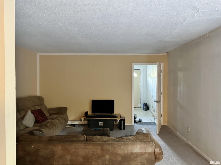 194 Villa Knoll Pase Street, Carbondale, Illinois 62901, 0 , 0 ,0,Residential Income,For Sale,Villa Knoll Pase,0,RMAEB446592