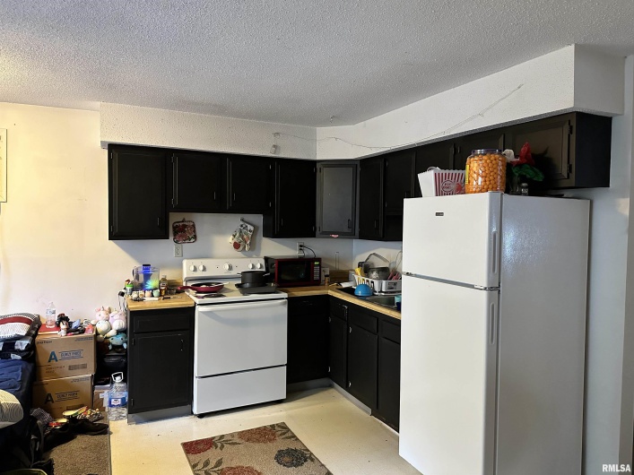 194 Villa Knoll Pase Street, Carbondale, Illinois 62901, 0 , 0 ,0,Residential Income,For Sale,Villa Knoll Pase,0,RMAEB446592