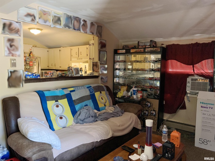194 Villa Knoll Pase Street, Carbondale, Illinois 62901, 0 , 0 ,0,Residential Income,For Sale,Villa Knoll Pase,0,RMAEB446592