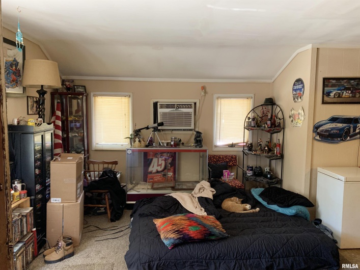 194 Villa Knoll Pase Street, Carbondale, Illinois 62901, 0 , 0 ,0,Residential Income,For Sale,Villa Knoll Pase,0,RMAEB446592