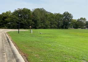 0 Chandler Lane, Dexter, Missouri 63841, ,Land,For Sale,Chandler,MAR22066138
