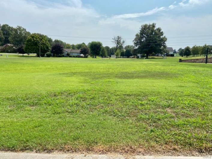 0 Chandler Lane Lane, Dexter, Missouri 63841, ,Land,For Sale,Chandler Lane,MAR22066096