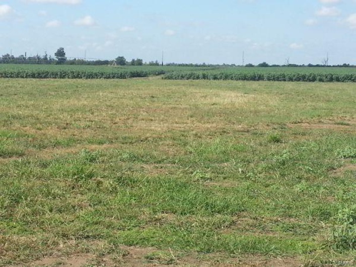 1201 Lawrence, Sikeston, Missouri 63801, ,Farm,For Sale,Lawrence,MAR22069188