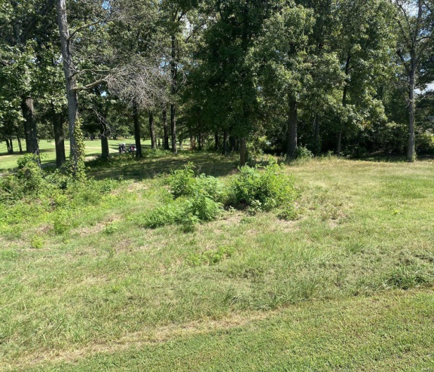 0 Hidden Trails Drive, Dexter, Missouri 63841, ,Land,For Sale,Hidden Trails,MAR22066136