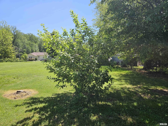 550 VIENNA Road, Olmsted, Illinois 62970, 3 Bedrooms Bedrooms, 0 ,2 BathroomsBathrooms,Residential,For Sale,VIENNA,0,RMAEB447016