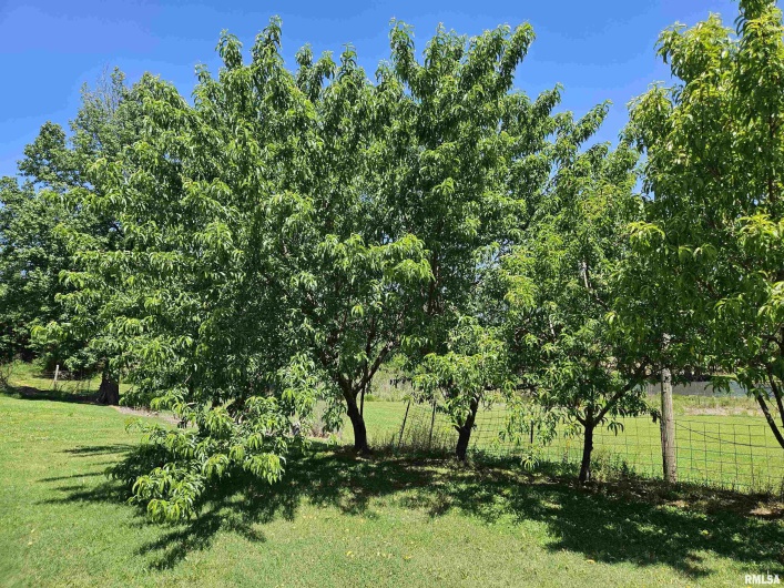550 VIENNA Road, Olmsted, Illinois 62970, 3 Bedrooms Bedrooms, 0 ,2 BathroomsBathrooms,Residential,For Sale,VIENNA,0,RMAEB447016