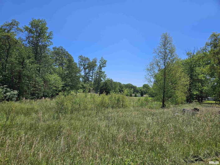 550 VIENNA Road, Olmsted, Illinois 62970, 3 Bedrooms Bedrooms, 0 ,2 BathroomsBathrooms,Residential,For Sale,VIENNA,0,RMAEB447016