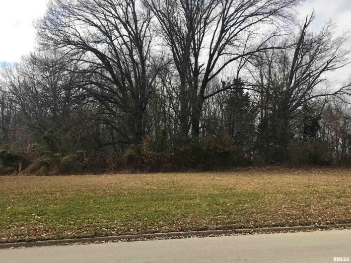 0000 Westridge Drive, Carbondale, Illinois 62901, 0 , 0 ,0,Land,For Sale,Westridge,0,RMAEB447119