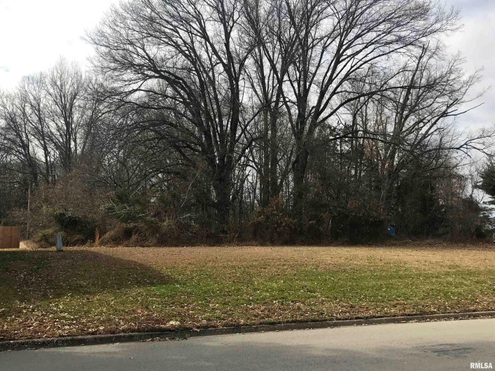 0000 Westridge Drive, Carbondale, Illinois 62901, 0 , 0 ,0,Land,For Sale,Westridge,0,RMAEB447119