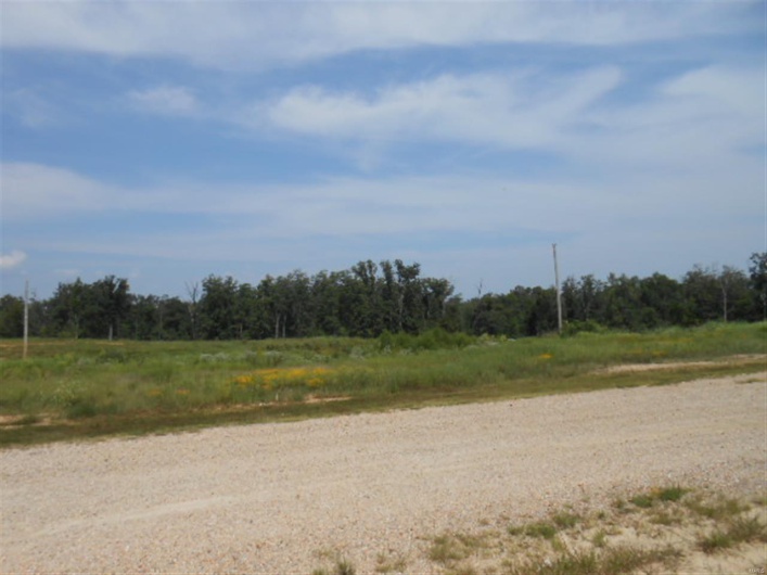 0 Hwy. 67 South, Poplar Bluff, Missouri 63901, ,Commercial Sale,For Sale,Hwy. 67 South,MAR9932342