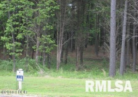Lot 358 Parrish Ridge Lane, Goreville, Illinois 62939, 0 , 0 ,0,Land,For Sale,Parrish Ridge,0,RMAEB425141