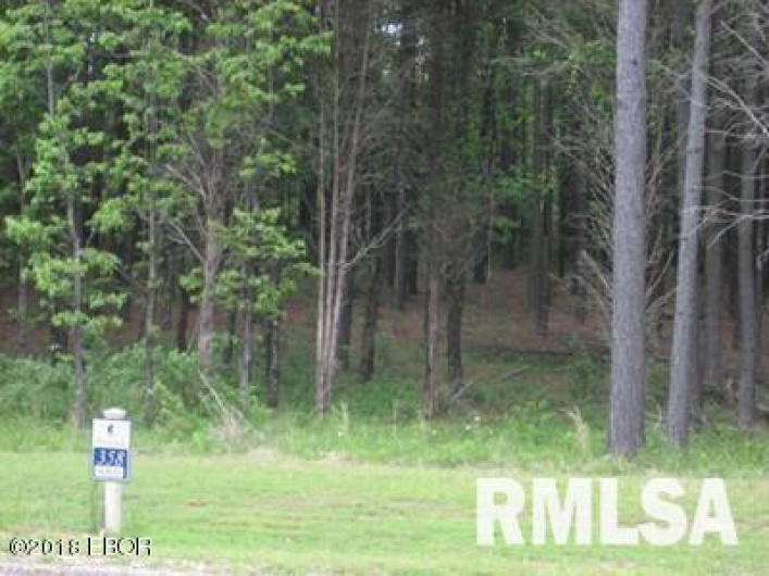 Lot 358 Parrish Ridge Lane, Goreville, Illinois 62939, 0 , 0 ,0,Land,For Sale,Parrish Ridge,0,RMAEB425141