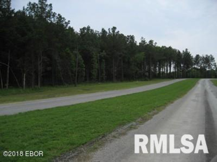 Lot 358 Parrish Ridge Lane, Goreville, Illinois 62939, 0 , 0 ,0,Land,For Sale,Parrish Ridge,0,RMAEB425141
