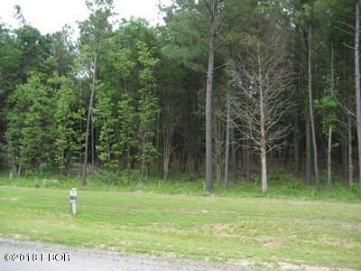 Lot 358 Parrish Ridge Lane, Goreville, Illinois 62939, 0 , 0 ,0,Land,For Sale,Parrish Ridge,0,RMAEB425141