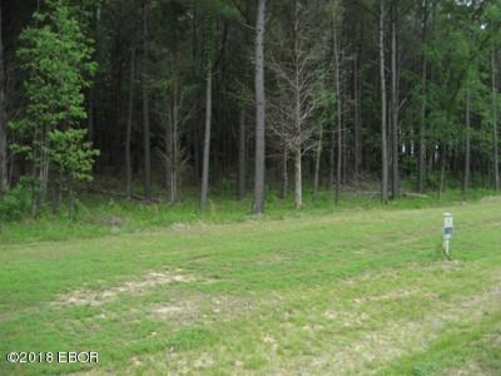 Lot 358 Parrish Ridge Lane, Goreville, Illinois 62939, 0 , 0 ,0,Land,For Sale,Parrish Ridge,0,RMAEB425141