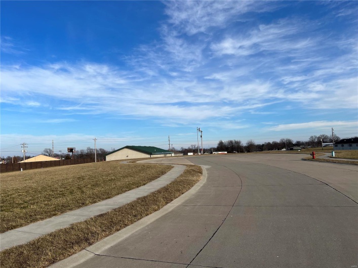 0 Redbud Court, Perryville, Missouri 63775, ,Commercial Sale,For Sale,Redbud,MAR23001699