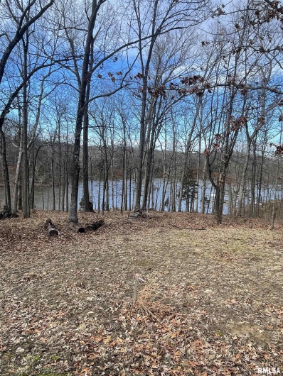 Lot 76 & 77 Saluki Way, Goreville, Illinois 62939, 0 , 0 ,0,Land,For Sale,Saluki,0,RMAEB447619