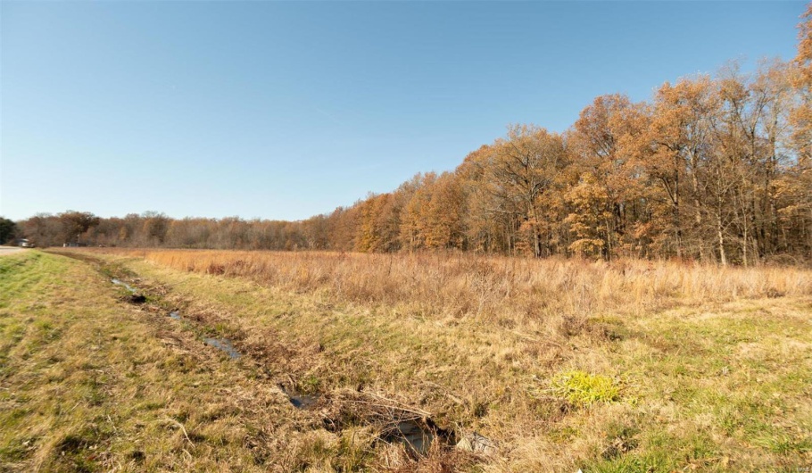 26989 Highway 51, Puxico, Missouri 63960, ,Land,For Sale,Highway 51,MAR21084668